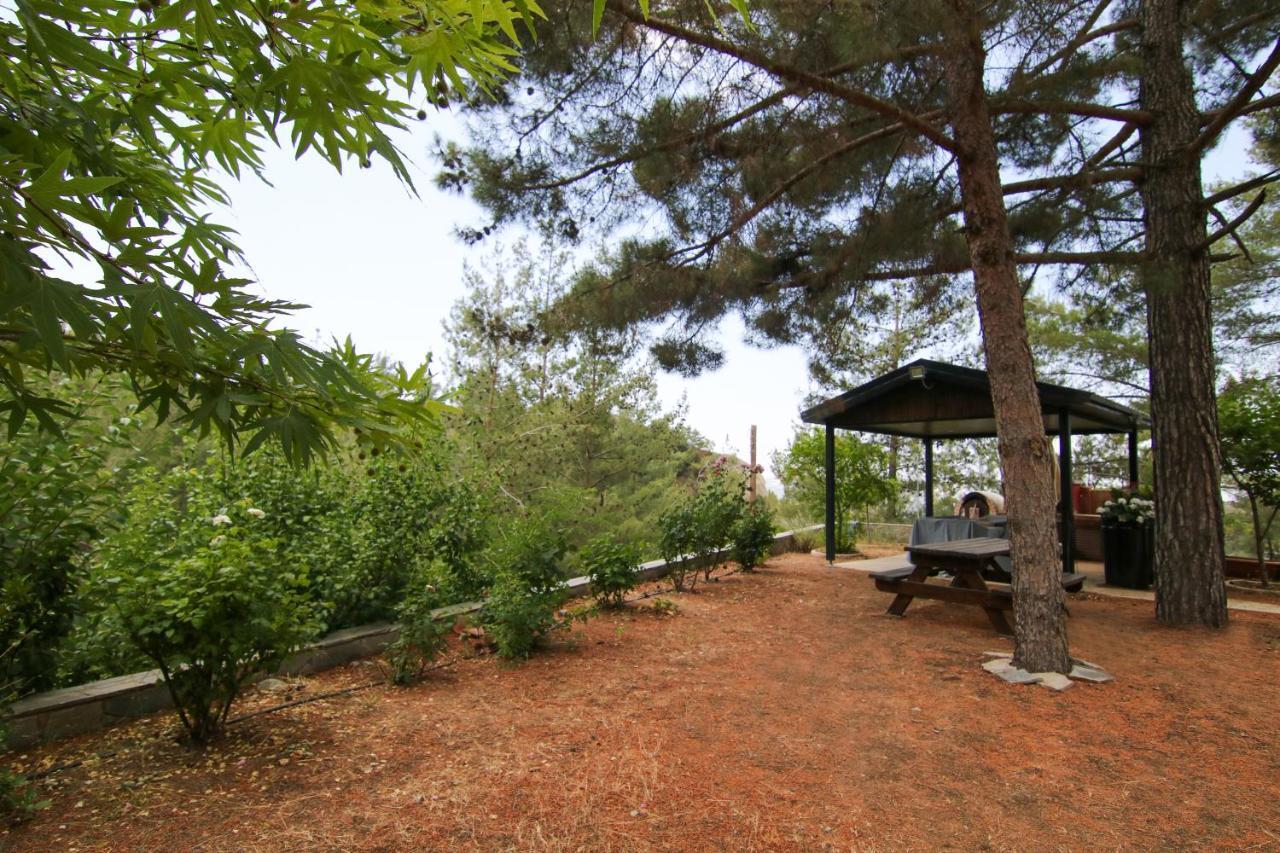 Phaedrus Living: Forest View Luxury Villa Chantara Foini Ngoại thất bức ảnh